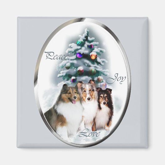 Shetland Sheepdog kerstcadeaus Magneet (Voorkant)