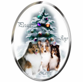 Shetland Sheepdog kerstcadeaus Ornament Fotobeeldje Ornament