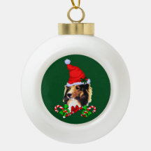 Shetland Sheepdog Kerstmis