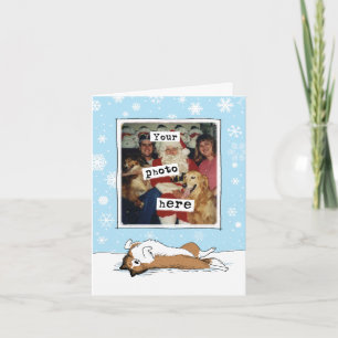 Shetland Sheepdog Kerstmis Sheltie Jouw Foto Feestdagen Kaart