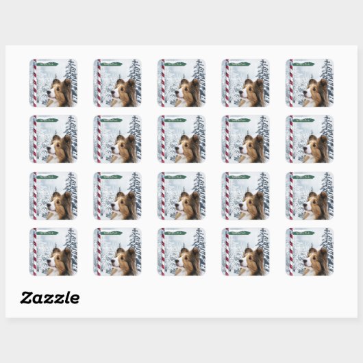 Shetland Sheepdog Kerstmis Vierkante Sticker (Vel)