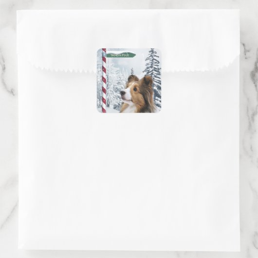 Shetland Sheepdog Kerstmis Vierkante Sticker (Tas)