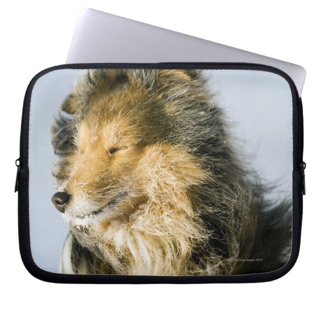 Shetland Sheepdog Laptop Sleeve (Voorkant)