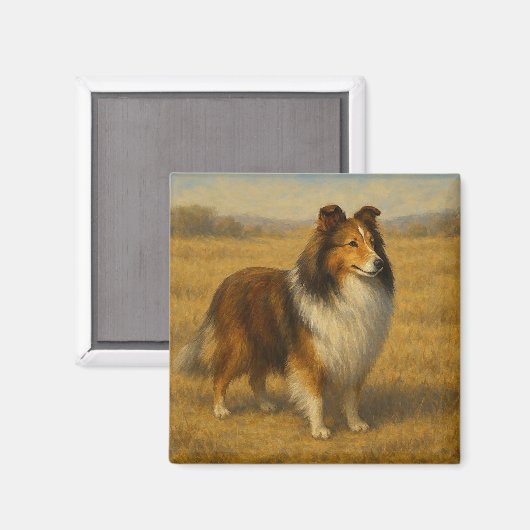 Shetland Sheepdog Magneet (Voorkant / Achterkant)
