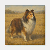 Shetland Sheepdog Magneet (Voorkant)