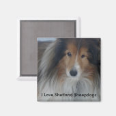 Shetland Sheepdog Magnet (Voorkant / Achterkant)