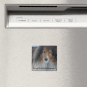 Shetland Sheepdog Magnet (Insitu (Vaatwasser))