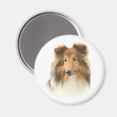 Shetland Sheepdog Magnet (Voorkant / Achterkant)