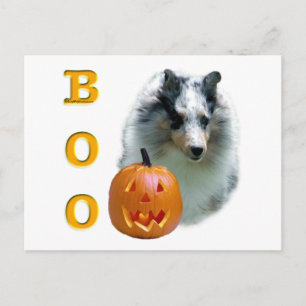 Shetland Sheepdog (merle) Boo Briefkaart
