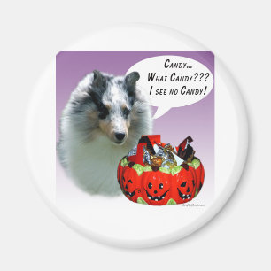 Shetland Sheepdog (Merle) Halloween Candy Magneet