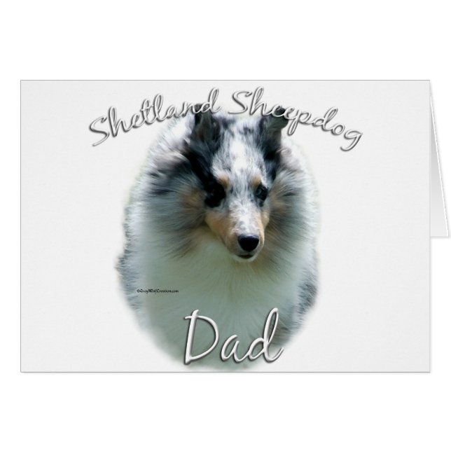 Shetland Sheepdog (merle) Papa 2 (Voorkant Horizontaal)