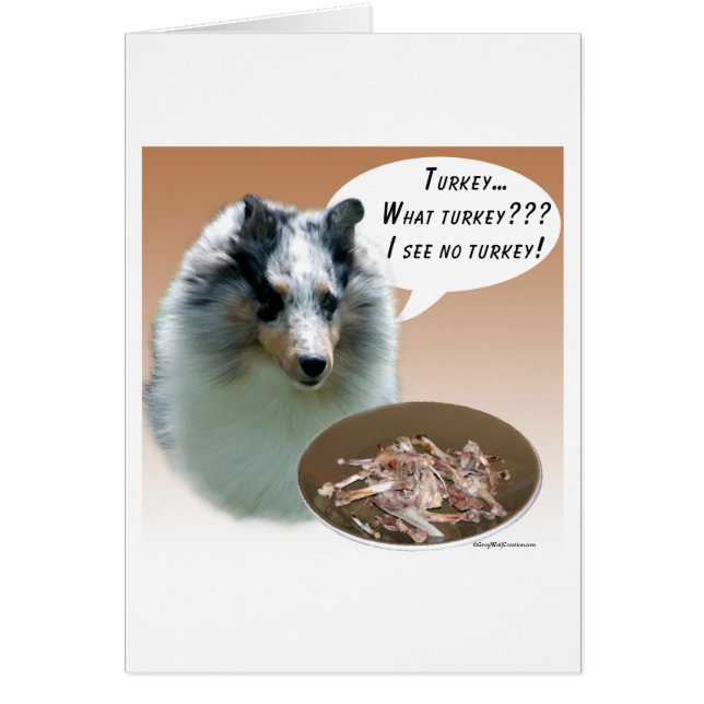 Shetland Sheepdog (merle) Turkije (Voorkant)