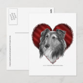 Shetland Sheepdog met hart Briefkaart (Voorkant / Achterkant)