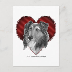 Shetland Sheepdog met hart Briefkaart