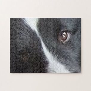 Shetland Sheepdog Ogen Legpuzzel