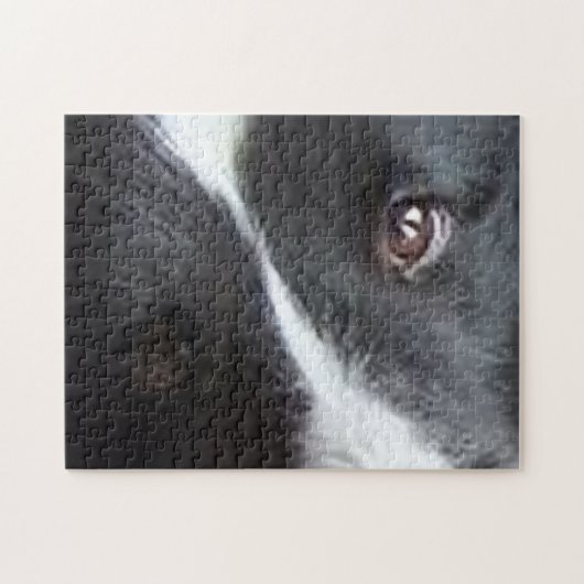 Shetland Sheepdog Ogen Legpuzzel (Horizontaal)