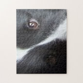 Shetland Sheepdog Ogen Legpuzzel (Verticaal)