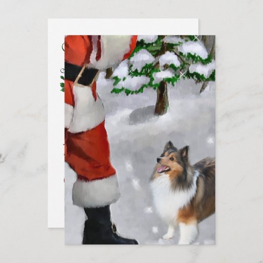 Shetland Sheepdog Ontmoet Kerstmis Kaart (Voorkant / Achterkant)