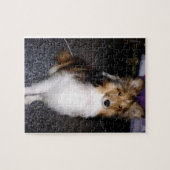 shetland sheepdog op 2 legpuzzel (Horizontaal)