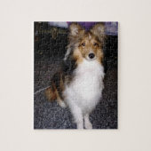 shetland sheepdog op 2 legpuzzel (Verticaal)