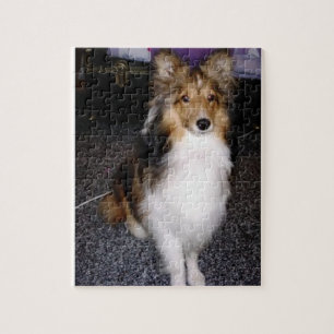 shetland sheepdog op 2 legpuzzel