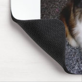 shetland sheepdog op 2 muismat (Hoek)