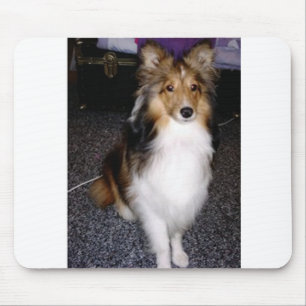 shetland sheepdog op 2 muismat