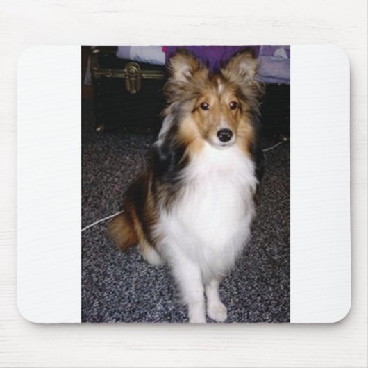 shetland sheepdog op 2 muismat (Voorkant)