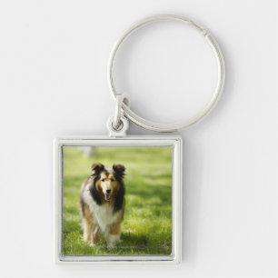 Shetland Sheepdog op het gras Sleutelhanger