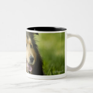 Shetland Sheepdog op het gras Tweekleurige Koffiemok