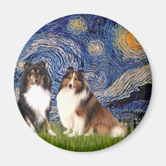 Shetland Sheepdog Pair - Sterrennacht Magneet (Voorkant)