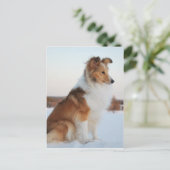 Shetland sheepdog-papierproduct briefkaart (Staand voorkant)