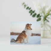 Shetland sheepdog-papierproduct briefkaart (Staand voorkant)