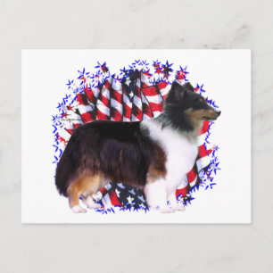 Shetland Sheepdog Patriot Briefkaart