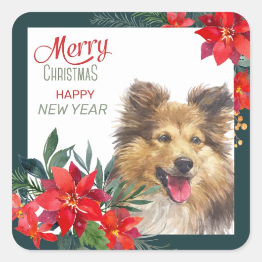Shetland Sheepdog Poinsettia Bouquet Kerstmis Vierkante Sticker (Voorkant)