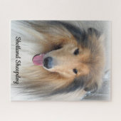 Shetland Sheepdog Portret Legpuzzel (Horizontaal)