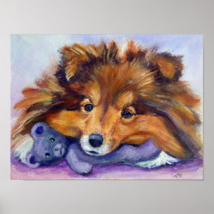 Shetland Sheepdog Print