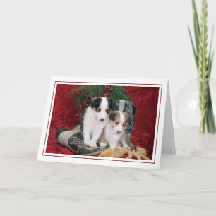 Shetland Sheepdog Puppies Feestdagen Kaart