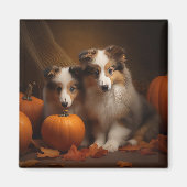 Shetland Sheepdog Puppy Herfst Delight Pompoen Magneet (Voorkant)
