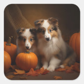 Shetland Sheepdog Puppy Herfst Delight Pompoen Vierkante Sticker (Voorkant)
