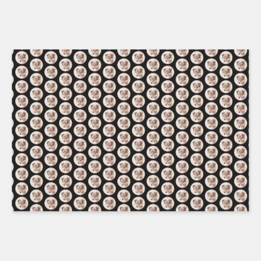 Shetland Sheepdog Puppy Pap Painting Original Dog Inpakpapier Vel (Voorkant 3)