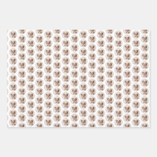 Shetland Sheepdog Puppy Pap Painting Original Dog Inpakpapier Vel (Voorkant 2)