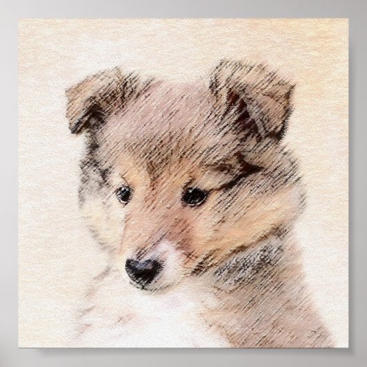 Shetland Sheepdog Puppy Pap Painting Original Dog  Poster (Voorkant)