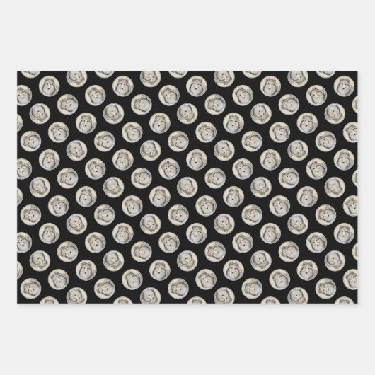 Shetland Sheepdog Puppy Schilderij Sheltie Dog Art Inpakpapier Vel (Voorkant 3)