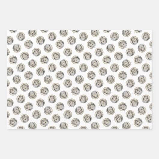 Shetland Sheepdog Puppy Schilderij Sheltie Dog Art Inpakpapier Vel (Voorkant 2)