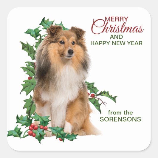 Shetland Sheepdog Red Berry Holly Kerstmis Vierkante Sticker (Voorkant)