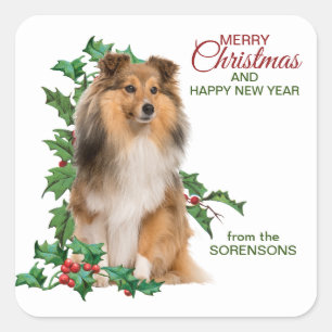 Shetland Sheepdog Red Berry Holly Kerstmis Vierkante Sticker