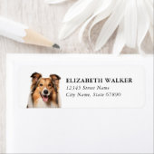 Shetland Sheepdog retouradreslabels Etiket (Insitu)