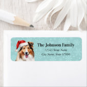 Shetland Sheepdog retouradreslabels Etiket (Insitu)