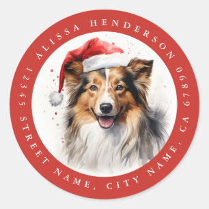 Shetland Sheepdog Ronde Stickers